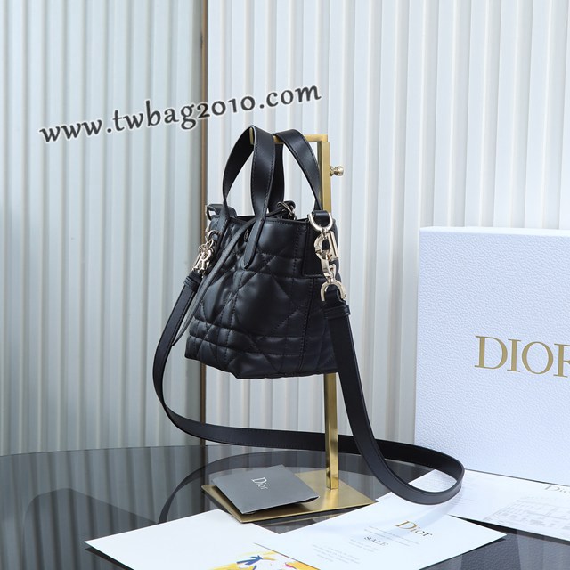 Dior专柜2025新款原厂皮手提包迪奥高仿原单黑色迷你toujours竖版手袋 djfk1838